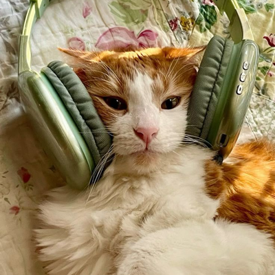 Product category image